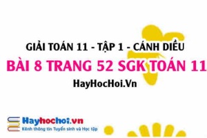 Giải bài 8 trang 52 Toán 11 tập 1 SGK Cánh Diều